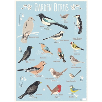 Plakat Garden Birds